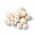 Cogumelo Paris (Champignon) Arte da Terra (200g)