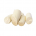 Mandioca orgânica descascada e congelada Terra Frutas (500g)