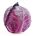 Repolho roxo Organico
