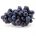 Uva Vitoria orgânica Terra Frutas (500g)